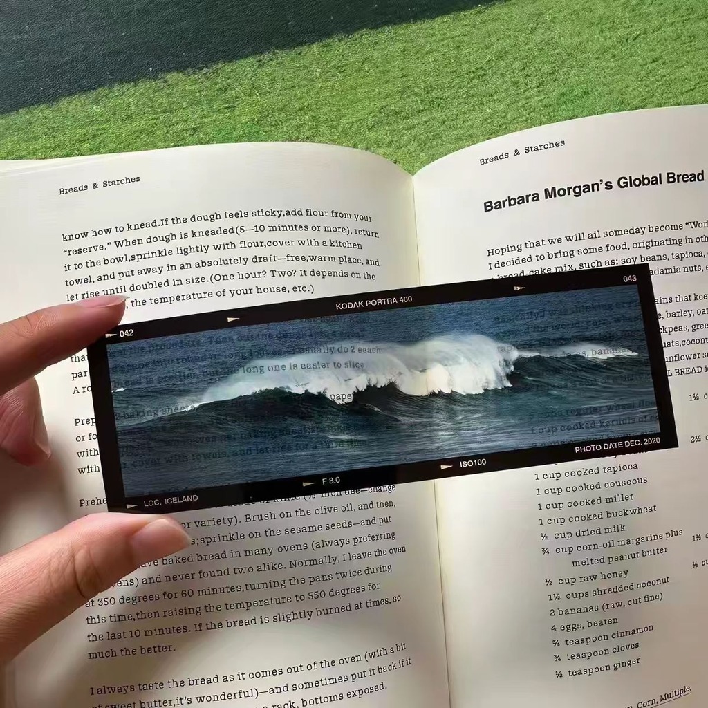 Sea'S Memoirs 海洋テーマ フィルムスタイル ア - Dried Flower Bookmark のレビューと価格