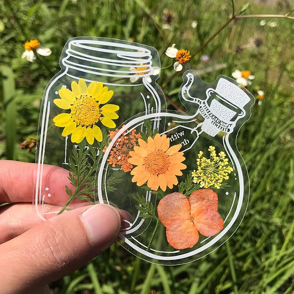 透明なドライフラワーブックマーク,30個,DIY,ウィッシュ - Dried Flower Bookmark のレビューと価格